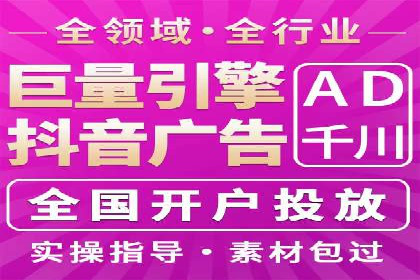 谷歌竞价广告的实时监控与调整策略——某公司经验分享